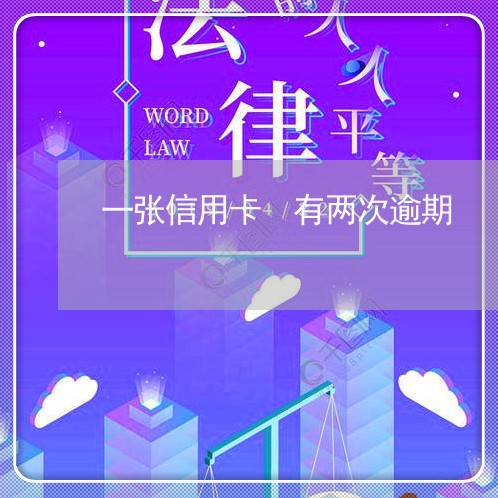 一张信用卡 有两次逾期/2023081285269